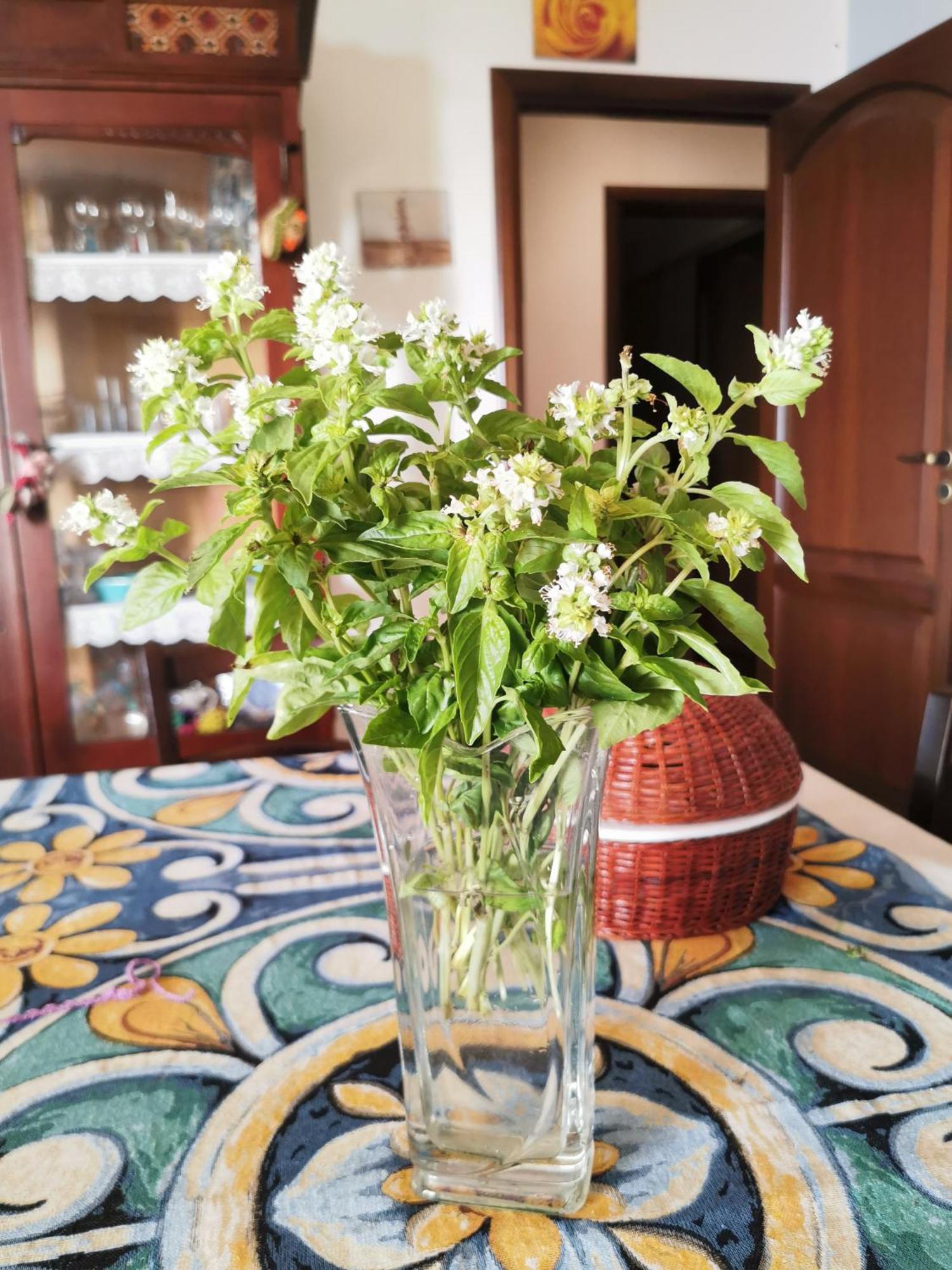 Apartment Zagara *